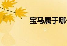 寶馬屬于哪個集團旗下品牌