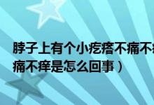 脖子上有個(gè)小疙瘩不痛不癢怎么回事（脖子上有小疙瘩且不痛不癢是怎么回事）