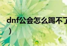dnf公會怎么踢不了人（DNF公會怎么看排名）
