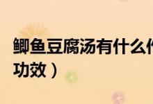 鯽魚豆腐湯有什么作用呢(鯽魚豆腐湯有什么功效)