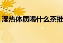 濕熱體質(zhì)喝什么茶推薦（濕熱體質(zhì)喝什么茶）