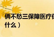 倆不愁三保障醫(yī)療保障標(biāo)準(zhǔn)（倆不愁三保障是什么）