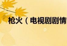 槍火（電視劇劇情簡介 槍火電視劇劇情）