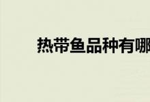熱帶魚品種有哪些（兩點(diǎn)為你介紹）
