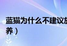 藍貓為什么不建議放在臥室(藍貓為什么不能養(yǎng))