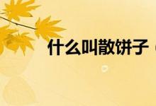 什么叫散餅子（什么叫散客拼團(tuán)）