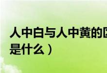 人中白與人中黃的區(qū)別（人中黃和人中白分別是什么）