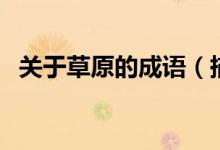關于草原的成語（描寫草原的成語有哪些）