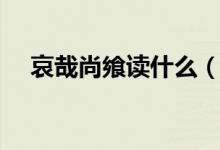 哀哉尚饗讀什么（哀哉尚饗是什么意思）