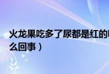 火龍果吃多了尿都是紅的呀（紅色火龍果吃多了尿紅色的怎么回事）