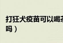 打狂犬疫苗可以喝茶嗎（打狂犬疫苗可以抽煙嗎）