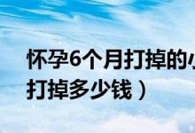 懷孕6個(gè)月打掉的小孩怎么處理（懷孕6個(gè)月打掉多少錢(qián)）