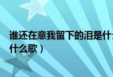 誰還在意我留下的淚是什么歌（歌詞誰還在意我留下的淚是什么歌）