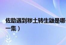 佐助遇到穢土轉(zhuǎn)生鼬是哪一集（穢土轉(zhuǎn)生鼬和佐助一起是哪一集）