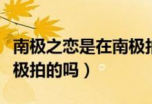 南極之戀是在南極拍攝的嗎（南極之戀是在南極拍的嗎）