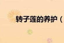 轉(zhuǎn)子蓮的養(yǎng)護(hù)（轉(zhuǎn)子蓮的養(yǎng)殖方法）