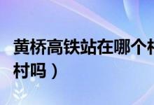 黃橋高鐵站在哪個(gè)村（黃橋高鐵站會(huì)設(shè)在西洋村嗎）