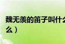 魏無羨的笛子叫什么名字(魏無羨的笛子叫什么)