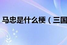 馬忠是什么梗（三國(guó)殺馬忠這把穩(wěn)了什么梗）