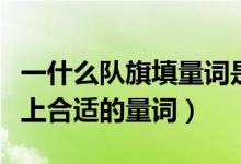 一什么隊旗填量詞是什么(“一什么隊旗”填上合適的量詞)
