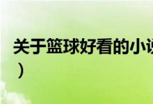 關(guān)于籃球好看的小說（關(guān)于籃球好看的電子書）