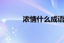 濃情什么成語（濃情什么意思）