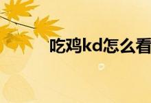 吃雞kd怎么看（吃雞kd怎么看）
