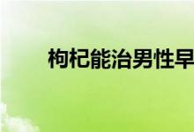 枸杞能治男性早泄（枸杞能泡幾遍）