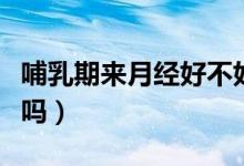 哺乳期來月經(jīng)好不好（哺乳期來月經(jīng)是體質(zhì)差嗎）