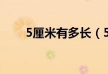 5厘米有多長（5厘米有多長參照物）