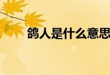 鴿人是什么意思（鴿人是什么意思）