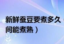 新鮮蠶豆要煮多久（清水煮帶殼的蠶豆多長時間能煮熟）