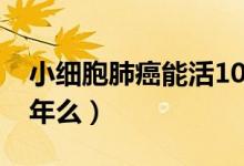 小細(xì)胞肺癌能活10年么（小細(xì)胞肺癌能活10年么）