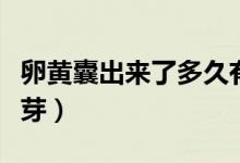 卵黃囊出來了多久有胎芽（卵黃囊多久后有胎芽）