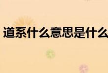 道系什么意思是什么（道系總裁是什么意思）