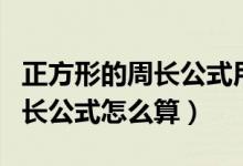正方形的周長公式用字母怎么寫（正方形的周長公式怎么算）