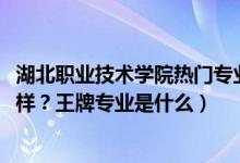 湖北職業(yè)技術(shù)學院熱門專業(yè)（2022年湖北職業(yè)技術(shù)學院怎么樣？王牌專業(yè)是什么）