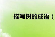 描寫樹的成語(yǔ)（什么成語(yǔ)是寫樹的）