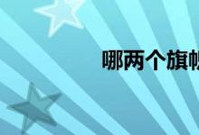 哪兩個旗幟組合在一起？