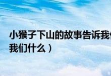 小猴子下山的故事告訴我們的道理（小猴子下山的故事告訴我們什么）