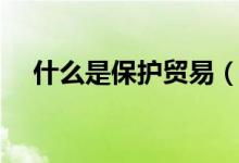 什么是保護貿(mào)易（什么是保護貿(mào)易政策）
