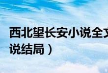 西北望長(zhǎng)安小說(shuō)全文免費(fèi)閱讀（西北望長(zhǎng)安小說(shuō)結(jié)局）