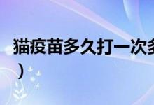 貓疫苗多久打一次多少錢（貓疫苗多久打一次）