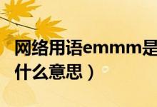網(wǎng)絡(luò)用語emmm是什么意思（網(wǎng)絡(luò)說emmm什么意思）