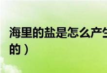 海里的鹽是怎么產(chǎn)生的（海里面的鹽是怎么來(lái)的）