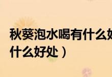 秋葵泡水喝有什么好處怎么泡（秋葵泡水喝有什么好處）