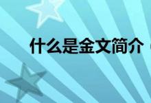 什么是金文簡介（什么是金文大篆體）