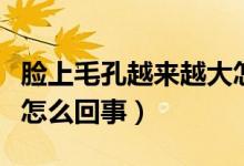 臉上毛孔越來越大怎么辦（臉上毛孔越來越大怎么回事）