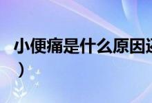 小便痛是什么原因還有點血（小便痛是啥原因）