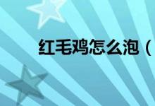 紅毛雞怎么泡（紅毛雞怎么做好吃）